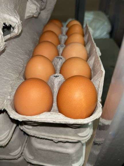 4 Doz Large Brown Eating Eggs