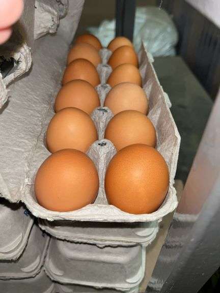 4 Doz Large Brown Eating Eggs