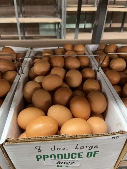 8 Doz Large Brown Eating Eggs