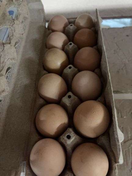 2 Doz Large Brown Eating Eggs