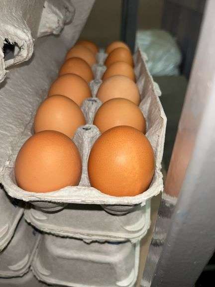 4 Doz Large Brown Eating Eggs