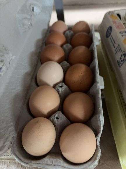 2 Doz Large Brown Eating Eggs