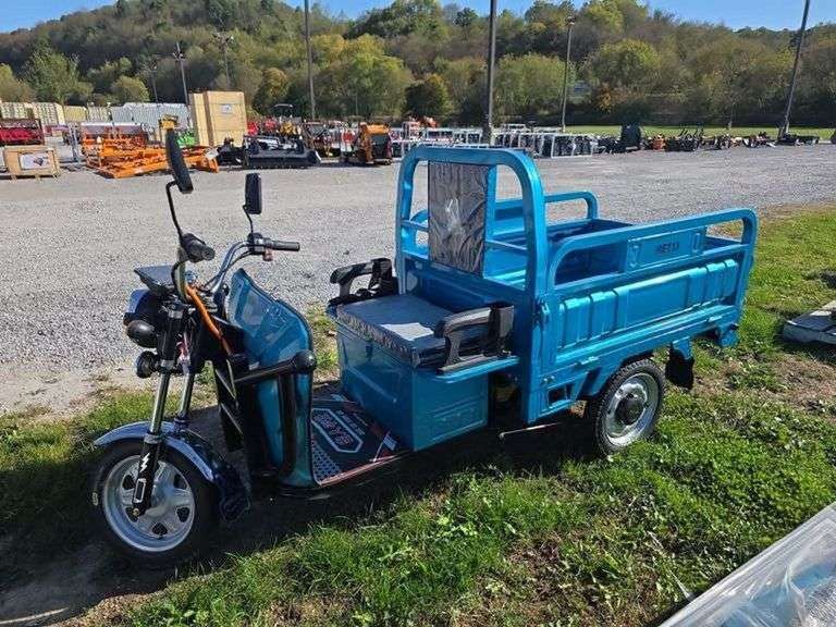 IRET13 Electric Tricycle w/ Bed