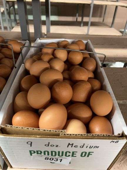 9 Doz Medium Brown Eating Eggs