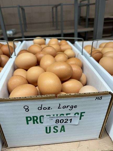 8 Doz Large Brown Eating Eggs