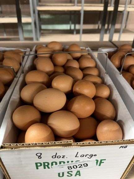8 Doz Large Brown Eating Eggs