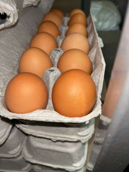 4 Doz Large Brown Eating Eggs