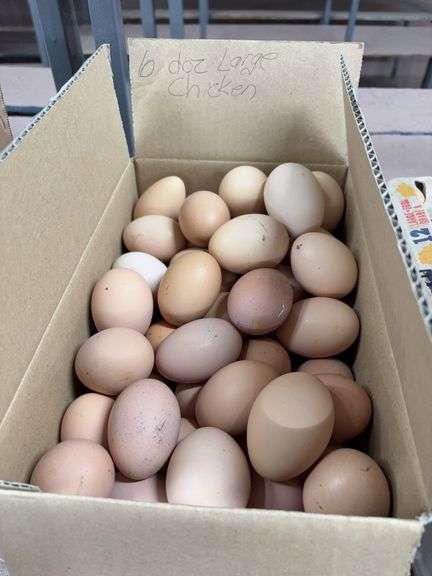 6 Doz Large Eating Eggs