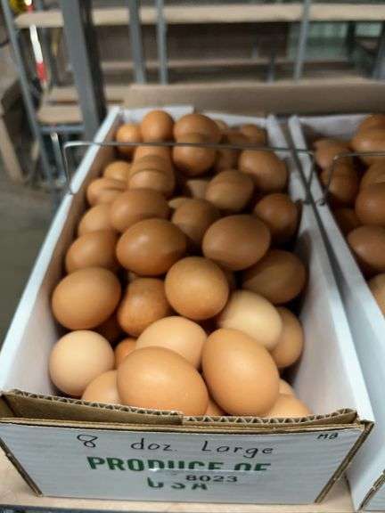 8 Doz Large Brown Eating Eggs