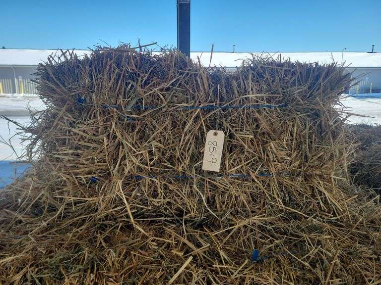 25 Oat Straw