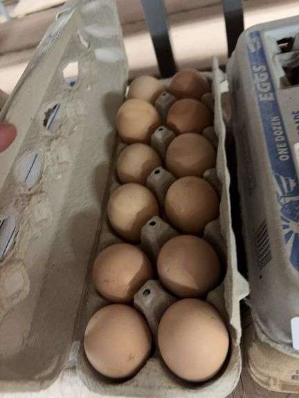 2 Doz Large Brown Eating Eggs