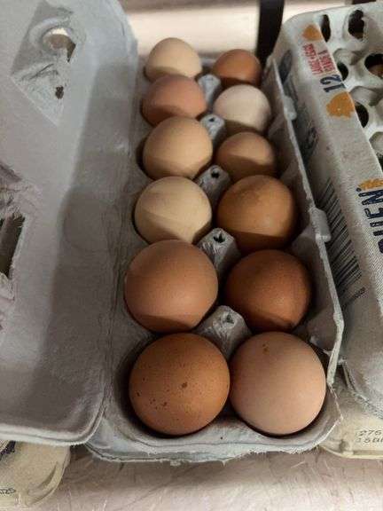 2 Doz Large Brown Eating Eggs