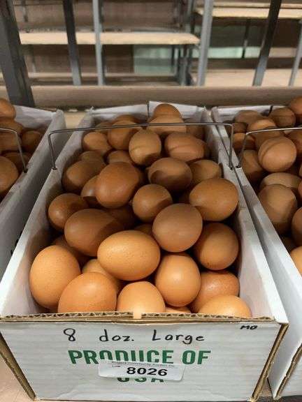 8 Doz Large Brown Eating Eggs