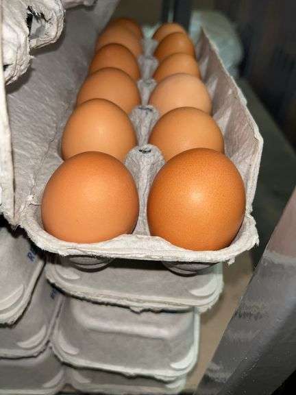 4 Doz Large Brown Eating Eggs