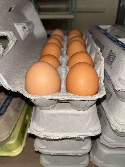4 Doz Large Brown Eating Eggs