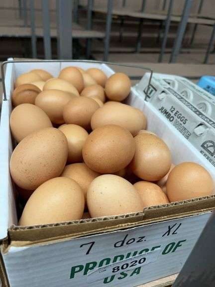 7 Doz Xlarge Brown Eating Eggs