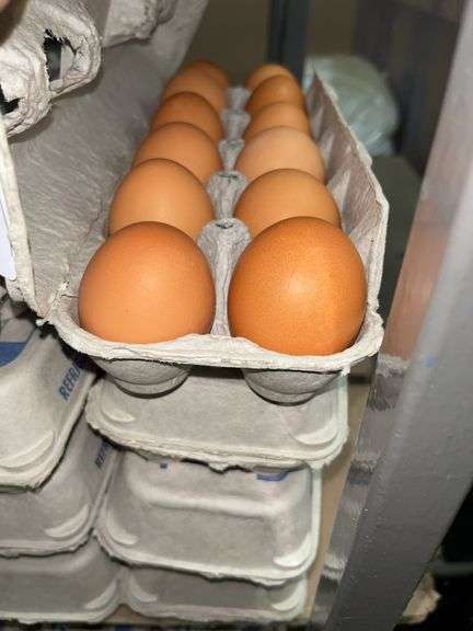 4 Doz Large Brown Eating Eggs