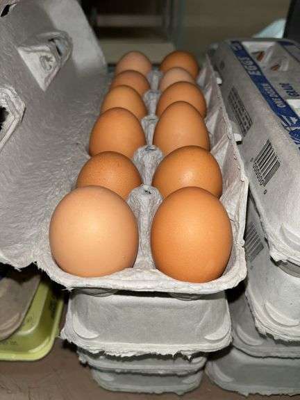 4 Doz Large Brown Eating Eggs