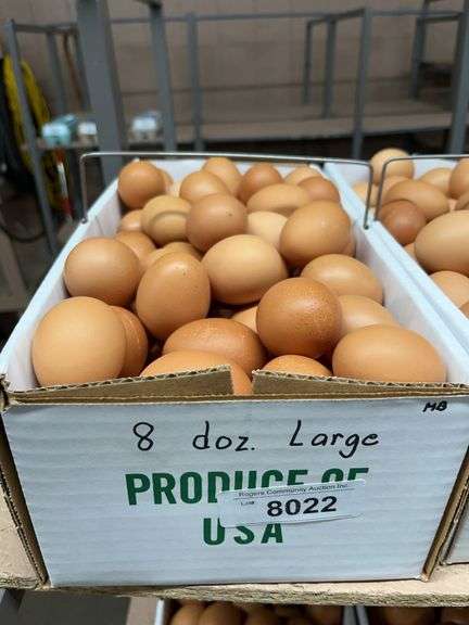 8 Doz Large Brown Eating Eggs