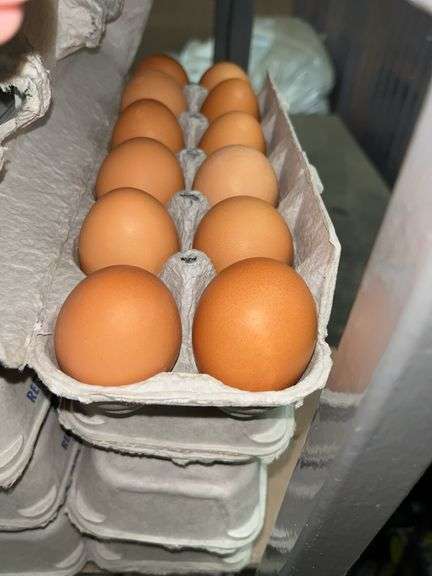 4 Doz Large Brown Eating Eggs