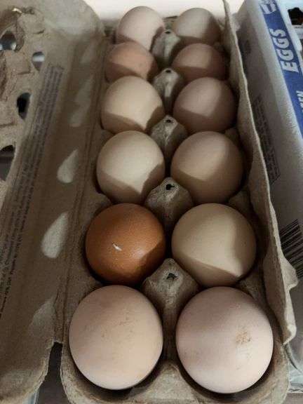 2 Doz Large Brown Eating Eggs