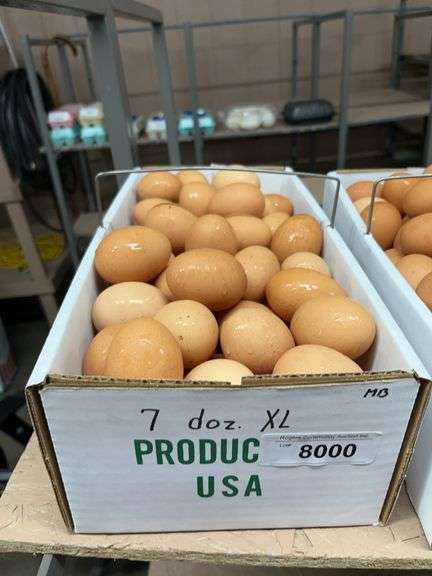 7 Doz Xlarge Brown Eating Eggs