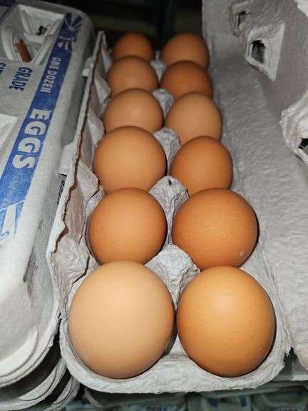 4 Doz Large Brown Eating Eggs