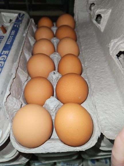 4 Doz Large Brown Eating Eggs