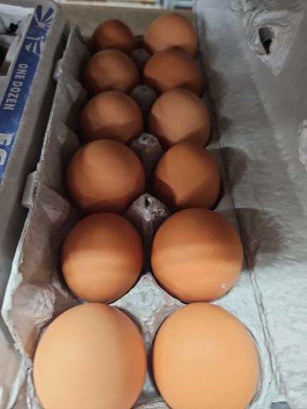 4 Doz Large Brown Eating Eggs