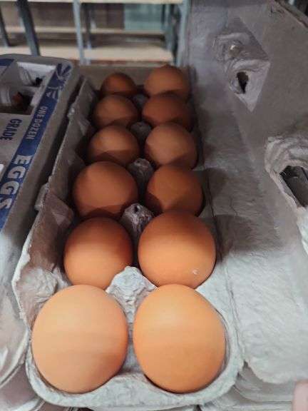 4 Doz Large Brown Eating Eggs