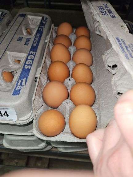 4 Doz Large Brown Eating Eggs