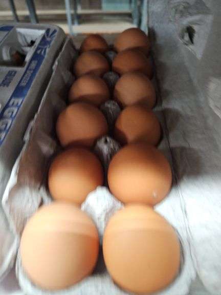 4 Doz Large Brown Eating Eggs
