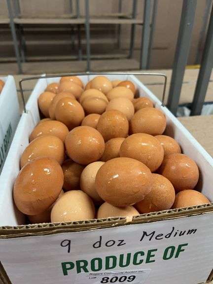 9 Doz Medium Brown Eating Eggs