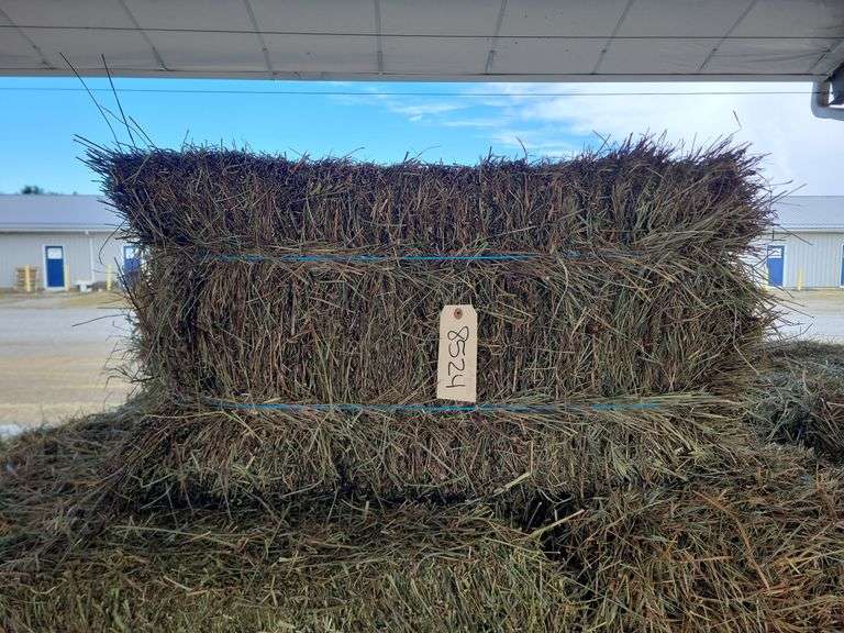 20 2nd Mixed Grass