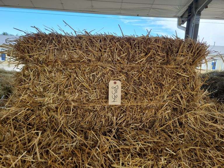 40 Wheat Straw