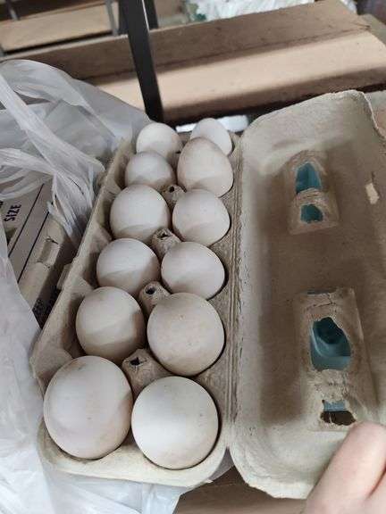 4 Doz White Eating Eggs