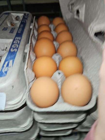 4 Doz Large Brown Eating Eggs
