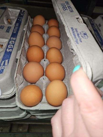 4 Doz Large Brown Eating Eggs