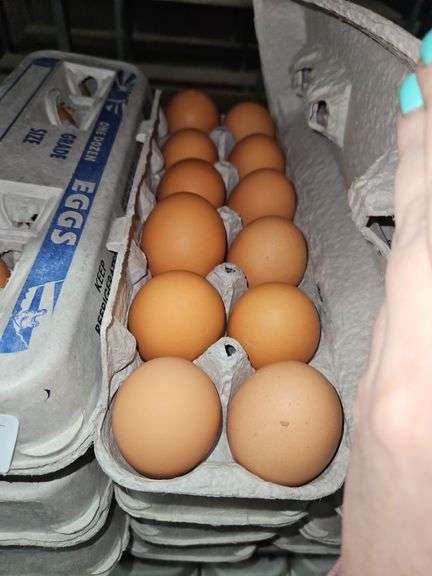 4 Doz Large Brown Eating Eggs