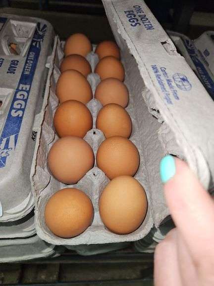4 Doz Large Brown Eating Eggs