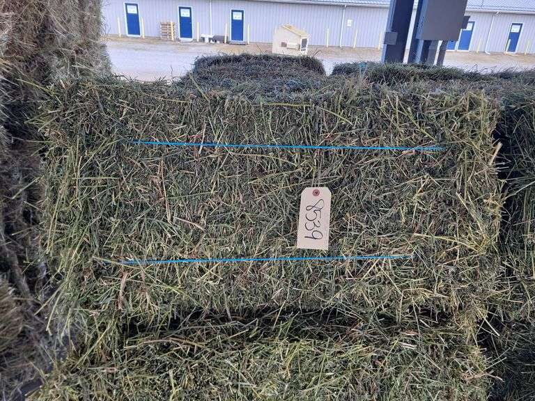 15 3rd Alfalfa Timothy Orchard Grass