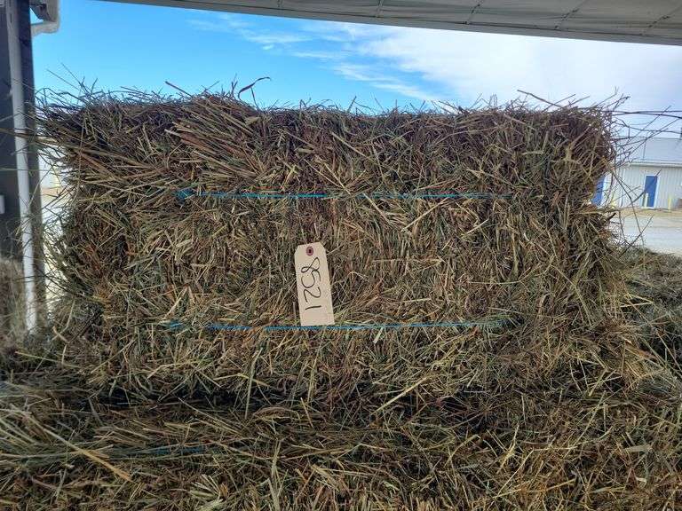 20 1st Orchard Mix