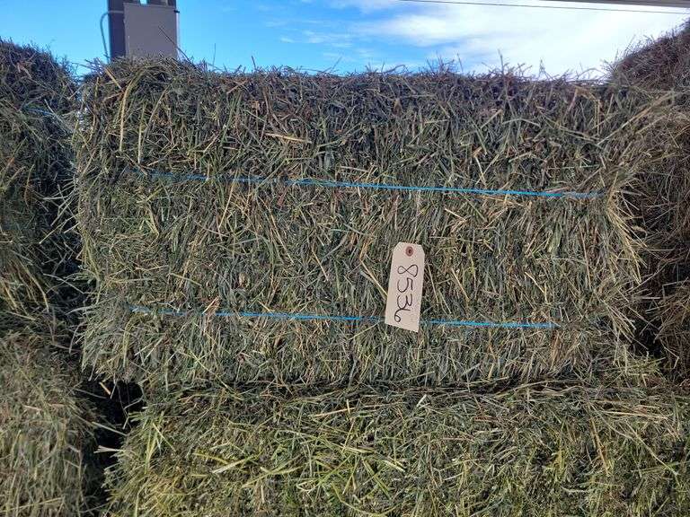15 3rd Alfalfa Timothy Orchard Grass