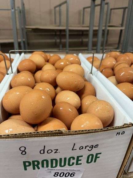 8 Doz Large Brown Eating Eggs