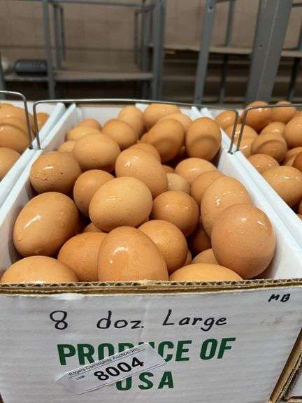 8 Doz Large Brown Eating Eggs