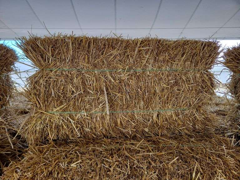 25 Wheat Straw