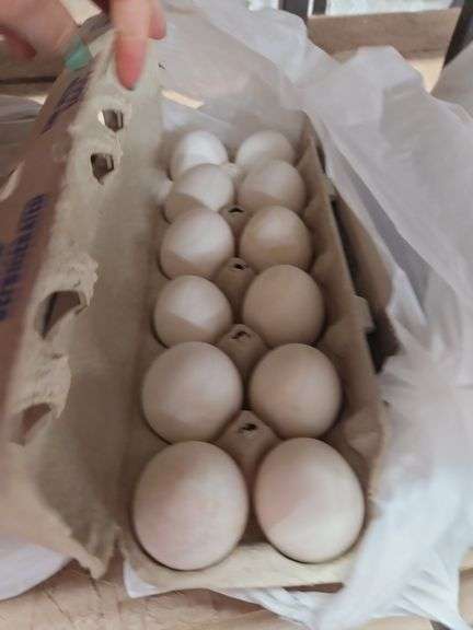 4 Doz White Eating Eggs