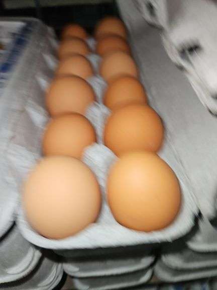 4 Doz Large Brown Eating Eggs