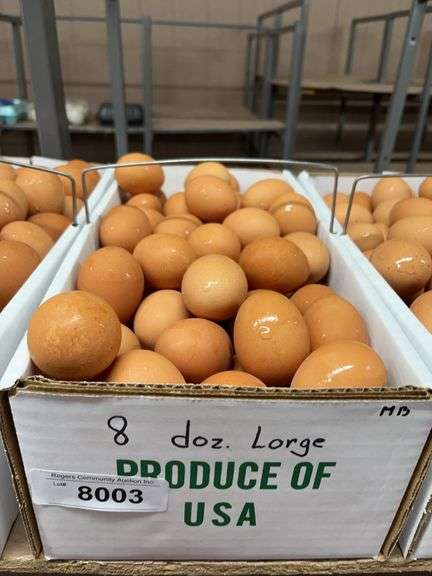 8 Doz Large Brown Eating Eggs