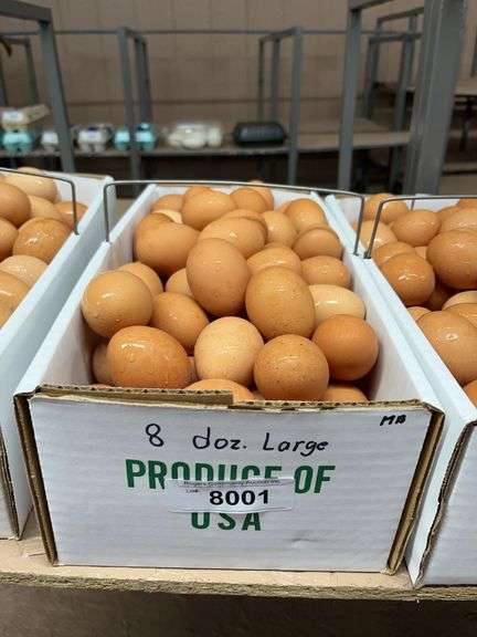 8 Doz Large Brown Eating Eggs